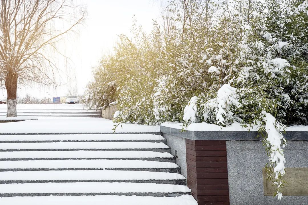 孙俊杰|多图！雪中的烟台高新区美出新高度