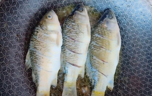 鲫鱼汤怎样炖像牛奶一样白?这3步是关键,做对了,鱼汤又白又鲜