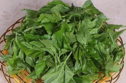 糖尿病|一旦查出糖尿病,“工资少”也要坚持吃4物,血糖或会慢慢降下来