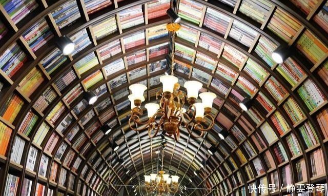 智商|一月不读书，智商输给猪，从黏土片的收藏到图书馆的出现