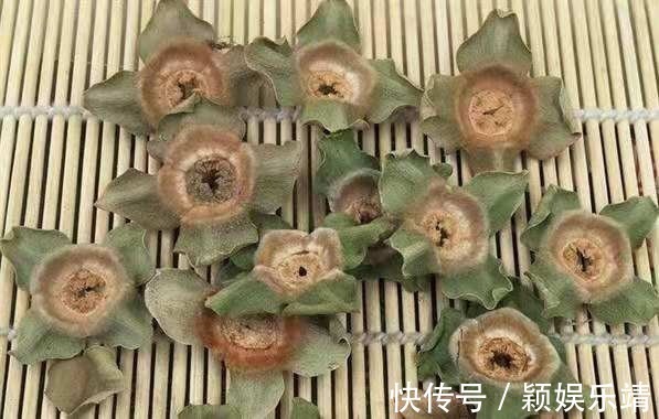 泡水|柿子蒂泡水太厉害了,每天喝一杯,男女都离不开,现在了解还不晚