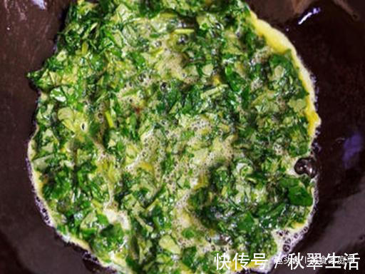 花盆|我家每年必吃,是菜也是药,用来炒鸡蛋比香椿还香,有花盆就能种