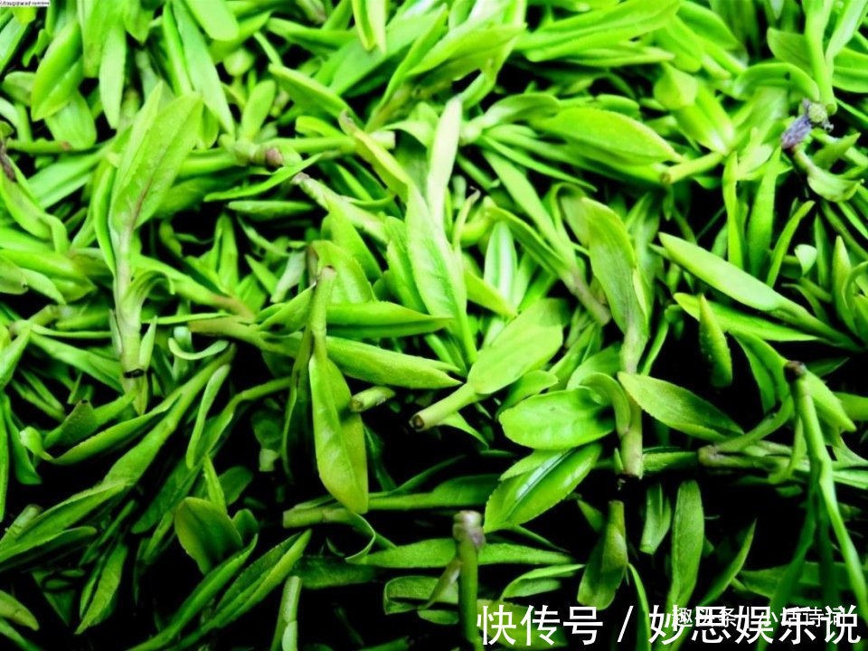 司马相如@宋代人如何饮茶？从黄庭坚的这首茶词中，看宋代饮茶方式与茶文化