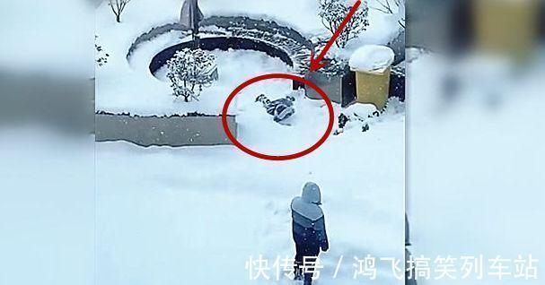 儿子|让爸爸带儿子去看雪,透过窗户看到如此画面,妈妈捂头:亲爹