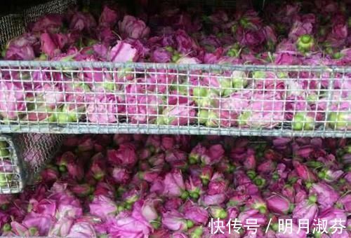 海带|子宫肌瘤也有“克星”，每天吃一点，活血化瘀，肌瘤悄悄消失