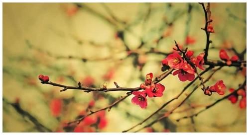 要求|你的内心恐惧越多，你对孩子的要求也便越多