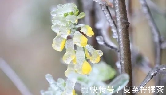 夜阑珊@捻月,孤灯长鸣