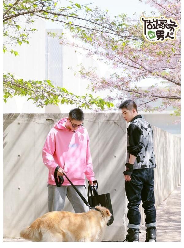 许佳琪|爱奇艺《做家务的男人》第三季黄景瑜回归“皇家学林院”笑料不断