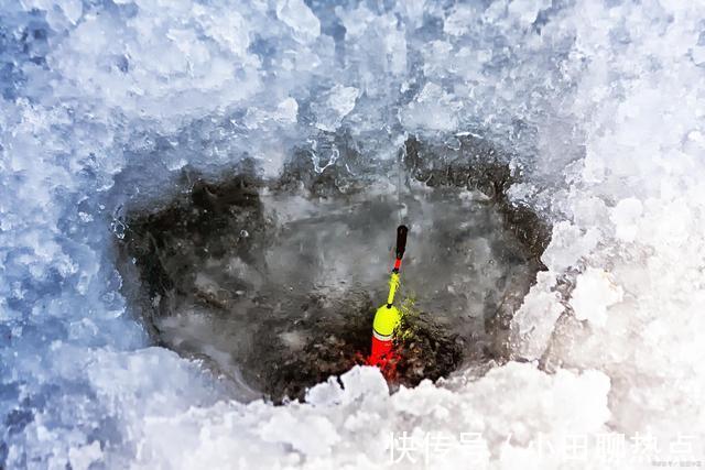 冬季野钓,窝中有鱼为何只吃窝料不吃钩饵水下实拍揭开谜底