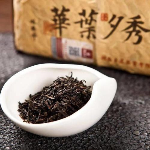  带松烟香|黑茶五种品类，各具特色！