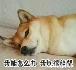 肌肉男|男人练成什么样,最吸引女生注意力?哈哈哈,网友真相了!