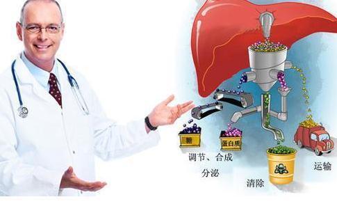 舒肝气|4个动作是养肝“小能手”,每天坚持5分钟,肝脏也会感激你