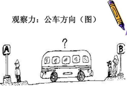 苗子|右脑发达的孩子,大多有以下特征,日后多半是学霸的“苗子”