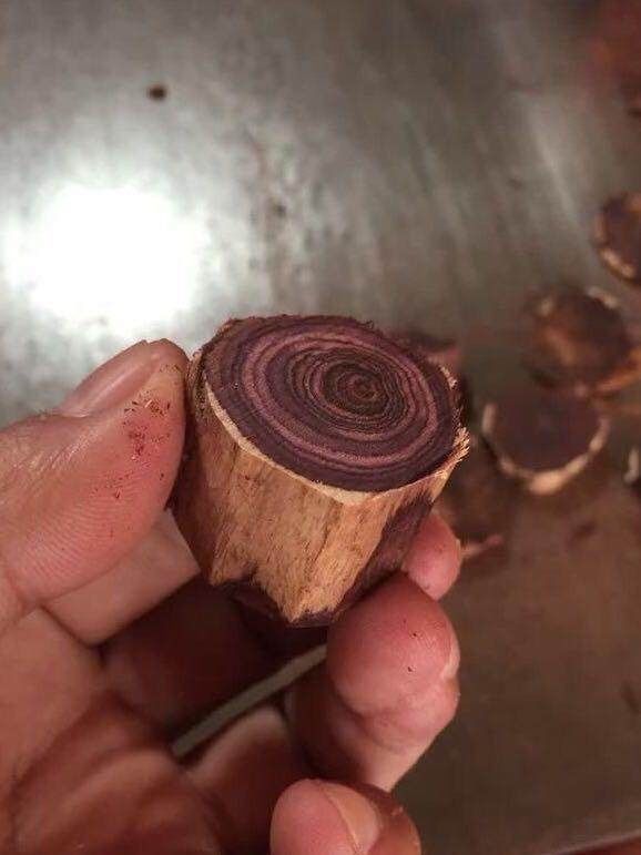 爱好者|小伙花12万淘到的木头,切开后本因打水漂,再切众人羡慕不已