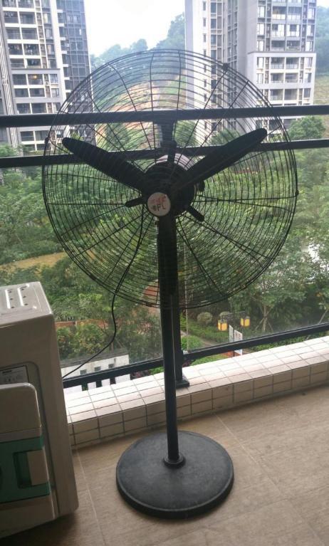 装修|装修后想要尽快入住,除甲醛有哪些方法?这些科学的方法是最好的