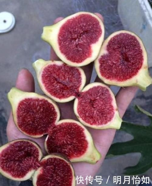 中年|女性不想过早显老,晚上当零食吃几个,皱纹淡了,腰间赘肉少了