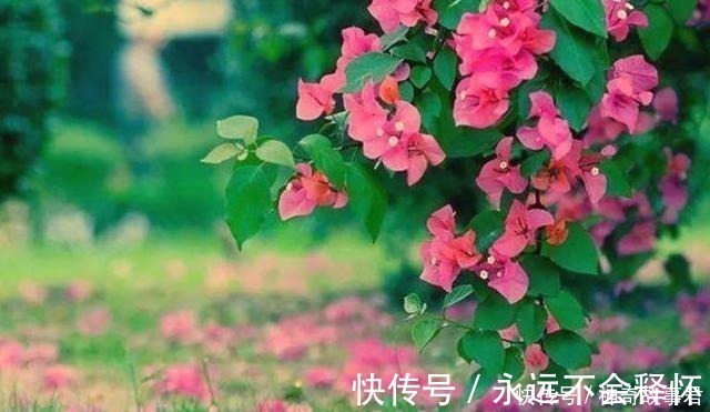 唐朝@唐朝最“肉麻”的一首诗,全诗仅20字,却道尽相思的苦楚!