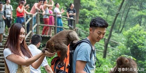 九寨|我们都知道“青城天下幽，峨眉天下秀”，后面两句是什么呢