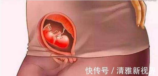 发育|宝宝是怎么被慢慢孕育出来的,十张过程图,一切来之不易