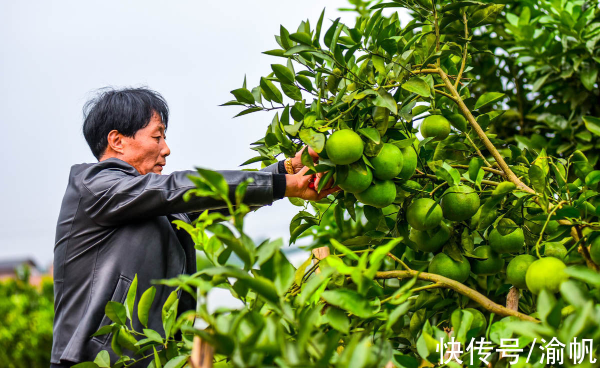 土壤|重庆江津：中国长寿之乡，富硒名城，适合养老与旅行的硒望之城