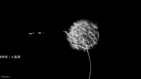 有个|有个会服软的男朋友,也太幸福了吧!又想骗我谈恋爱!