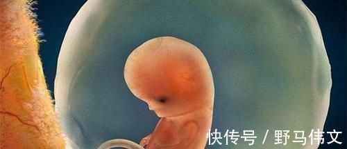 孕妈们|胎儿什么时候长得最快?摸清他的生长的规律,孕妈只会更轻松