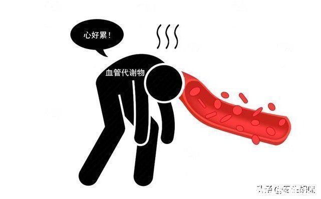 槐米|天然的血管“吸尘器”找到了！日常多吃5样，降血脂，远离血栓