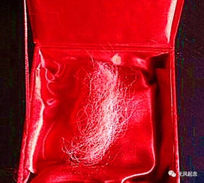 女孩&女孩自称孙悟空后代,还拿出2个宝物鉴定,复旦专家:为她点赞!