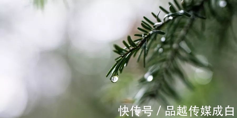 重情重义|一个小小的细节,会暴露了最真实的人