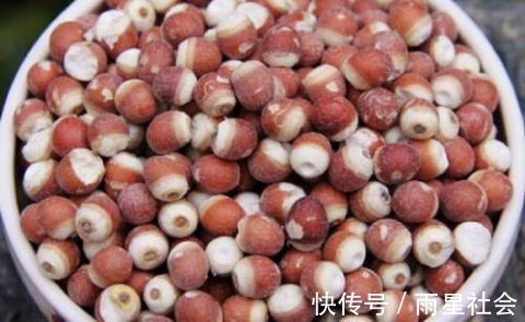 健脾|体内湿气重,4种食物吃一吃,祛湿健脾效果好