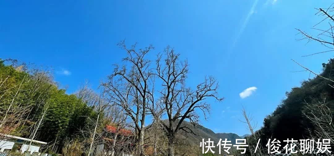 古观音禅寺|为什么说，“仕宦当作执金吾，娶妻当得阴丽华”？