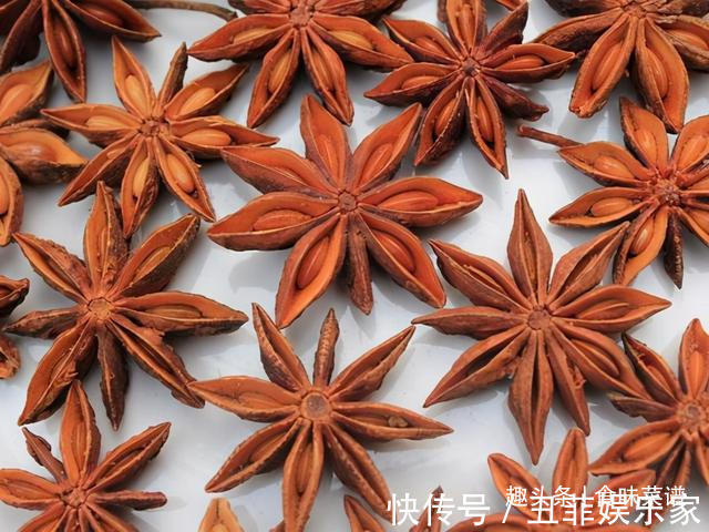 卤水|卤肉香料“四大金刚”，新手一定牢记，去异增香，做对了事半功倍