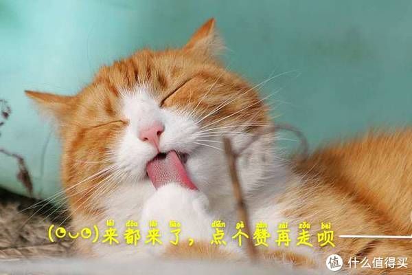 开关|理想国装修 篇四:廉价打造小户型智能卫生间/智能家居之卫生间应用/智慧浴室厕所/更高效,更有趣,更便宜/零接触卫生间管