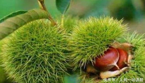 女性养生，学会吃的食物，不仅排毒抗衰，养护血管，还增强抵抗力
