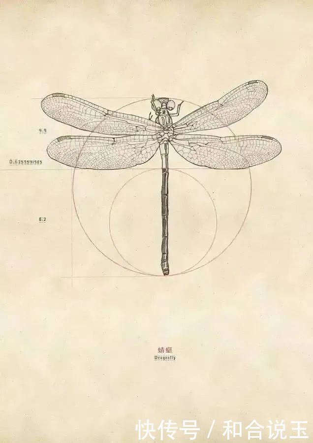 比例|用黄金比例呈现和合玉镯之美