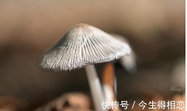 周扬青|虽然有点讽刺，但不得不说自讨苦吃，吸引处女座，其实不随缘