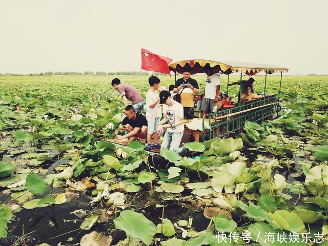 中年|微山湖为何成了“香饽饽”两省三市都“虎视眈眈”?微山湖游记