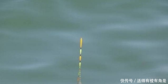 钓鱼时,一旦遇到这些“漂相”就要注意了,老钓友:都是假信号