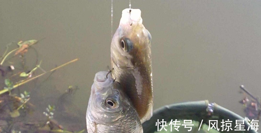 为啥老钓手能连上轻口鱼?这个妙招他们一般不教,详见本文第3招