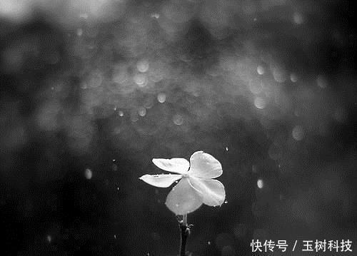 修养|一个人能做到这四点,不富就是贵,一定有伟大的成就