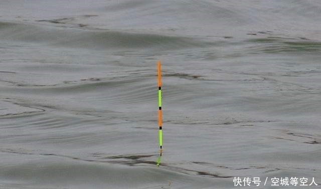 不知道用七星漂还是立漂,看完这篇就知道了