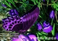 人心!良言20句,见证人心,看透人性看一次胜读十年书