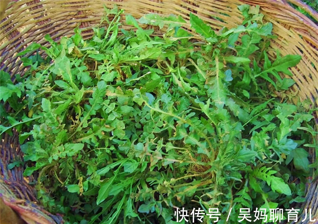 营养物质|每天晚上坚持吃三种食物，美容养颜，滋润肌肤，有益健康