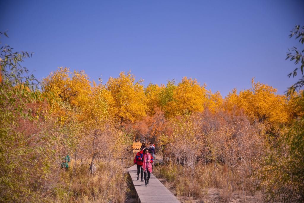 发射 中国航天的摇篮城市,国内的第一颗人造地球卫星就在这里发射