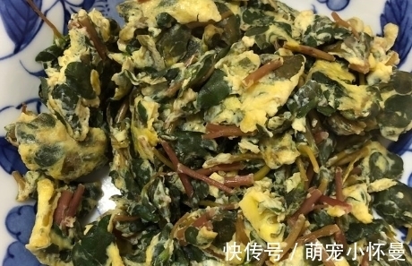 金不换|秋后的“金不换”,补铁是菠菜的2倍,炒一炒就上桌,吃着香