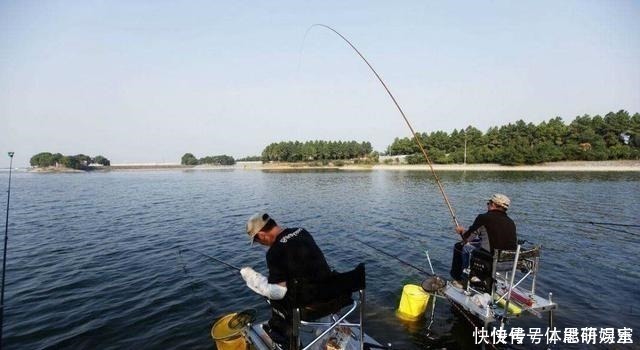 野钓|老钓手分享自己用了几年的酒米配方,每次野钓都能钓个十几斤