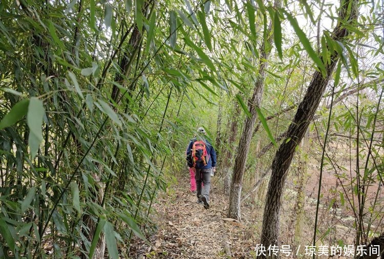 昆明走进自然户外｜乐走牧羊河上段，邂逅甸头村湿地，惊喜连连