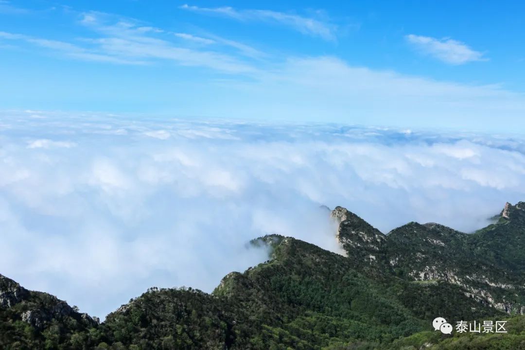 云海|云海浮波翻涌山水澹澹生烟