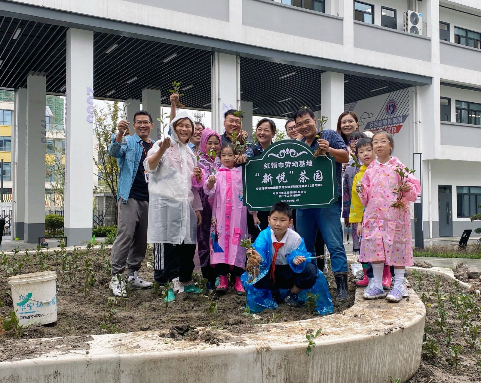 茶园|三千株“龙井43”茶苗住进了新天地实验学校，“新悦”茶园正式揭牌