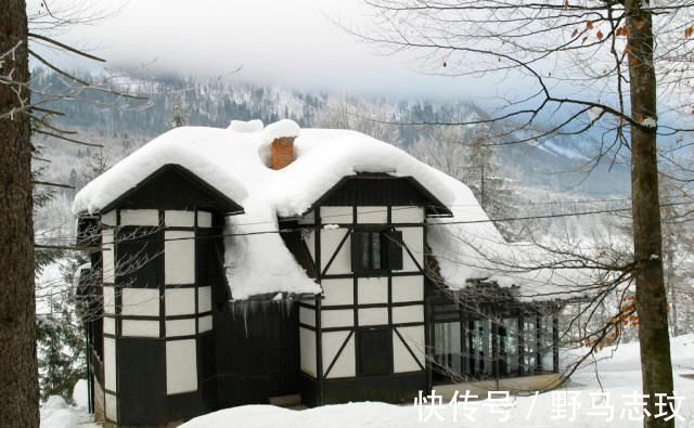 朝向|什么是南北通透的户型至少要满足以下几点,收藏起来看